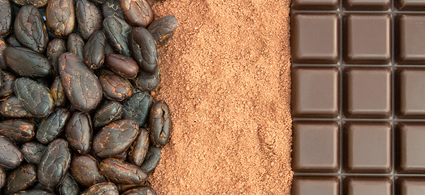 cokolada kvalita vyberova cokolada powerlogy dusan plichta 