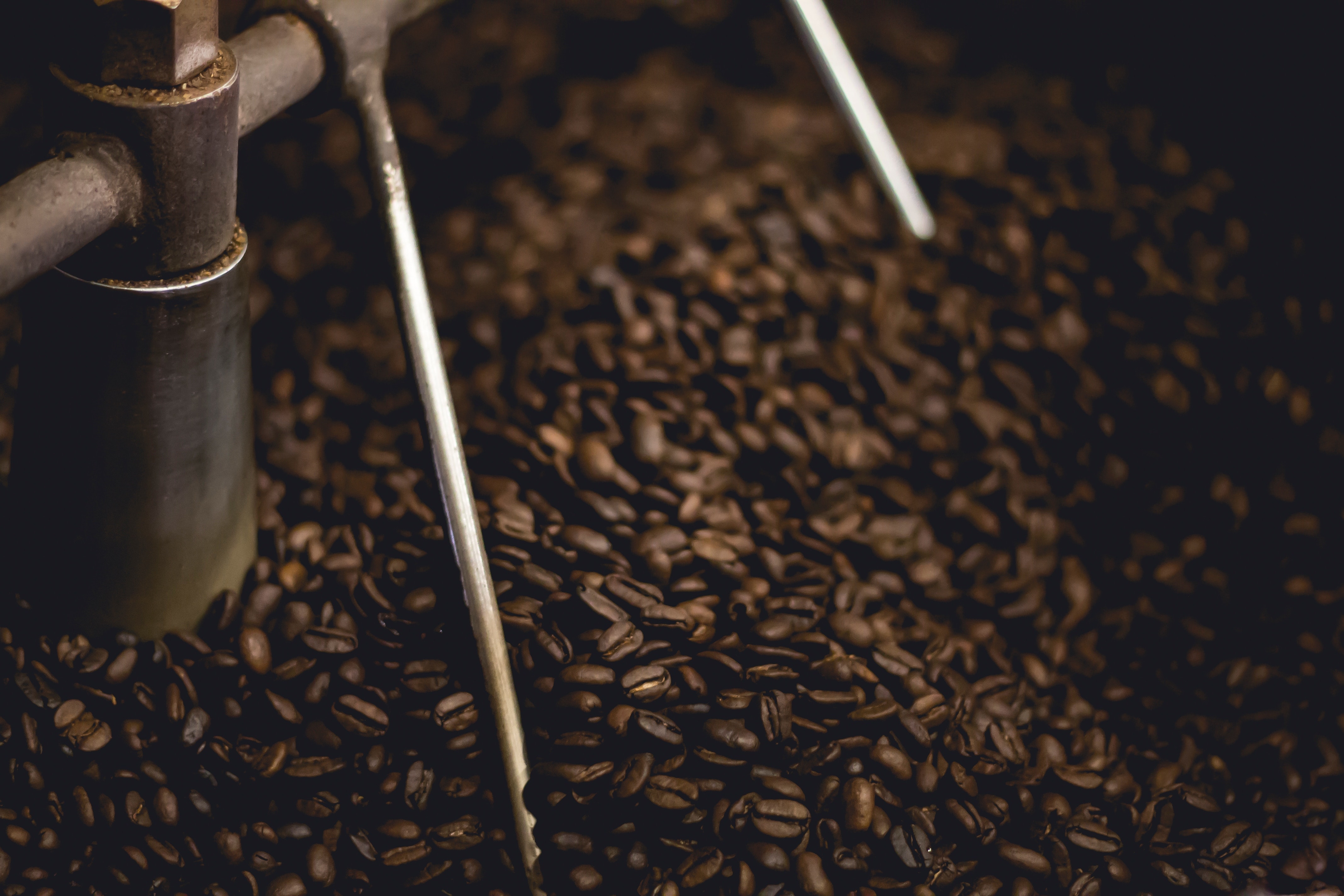 káva coffee praženie zrná kvalita powerlogy dusan plichta