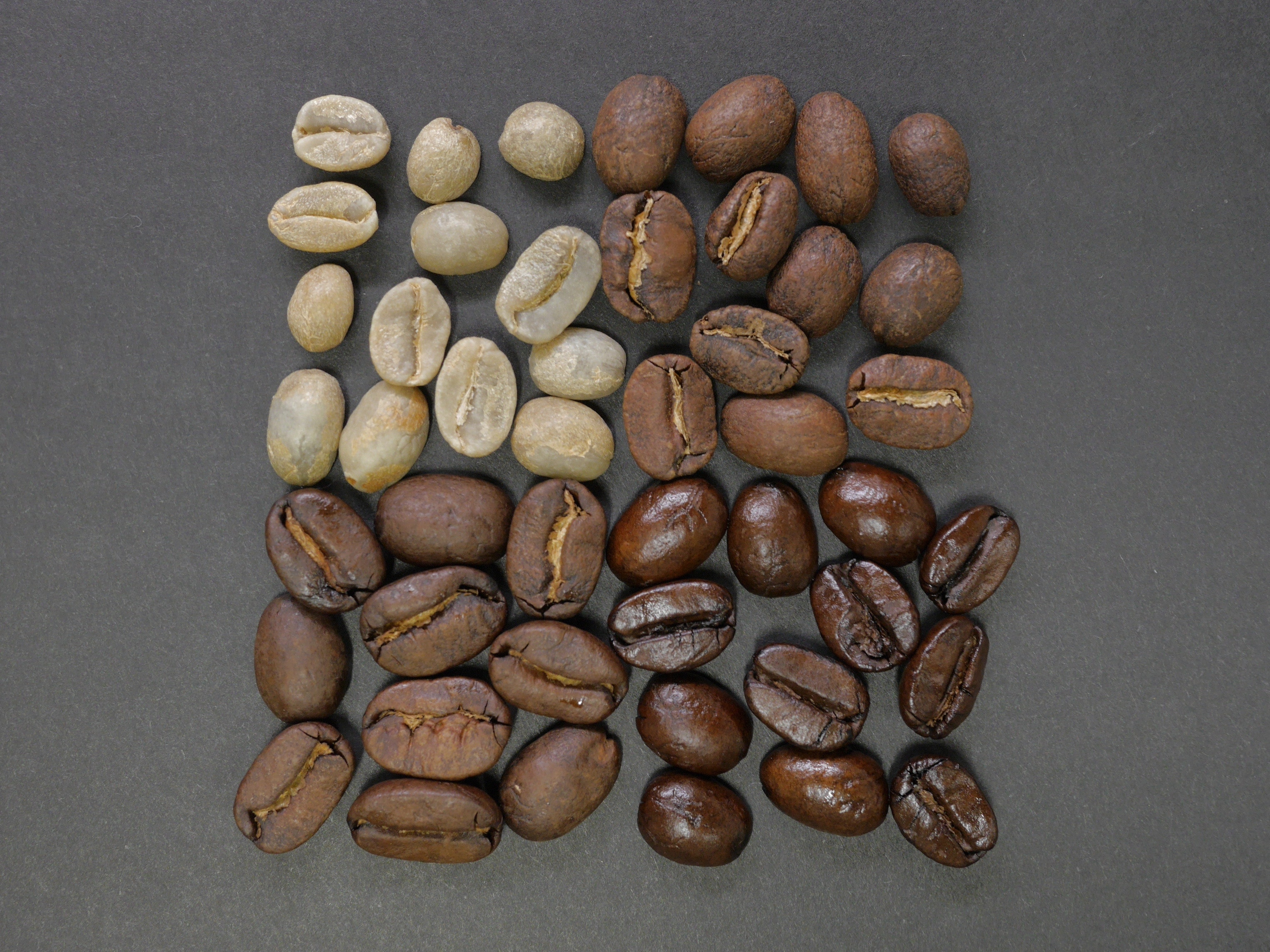 káva coffee beans zrnko praženie powerlogy dusan plichta