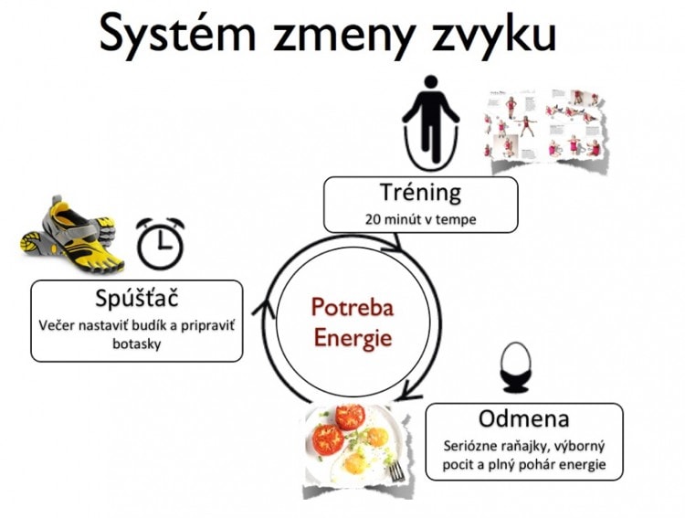 mozog odmena dopamín zvyk powerlogy dusan plichta
