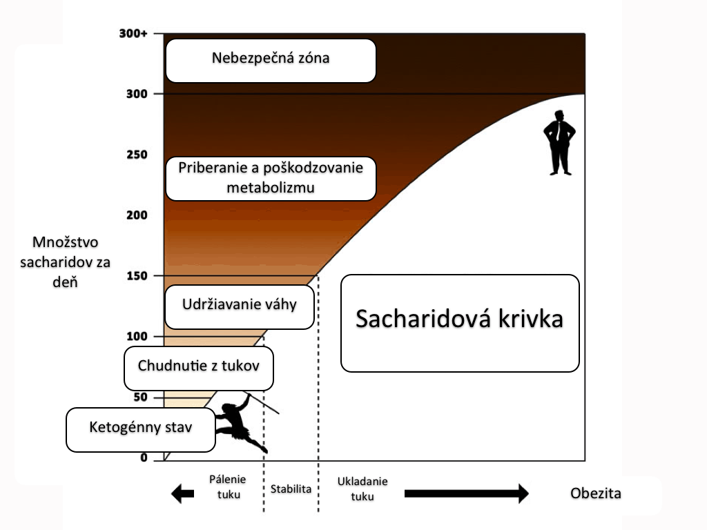 sacharidy energia metabolizmus vaha powerlogy dusan plichta
