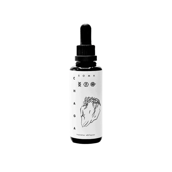 kaapa-chaga-600x600