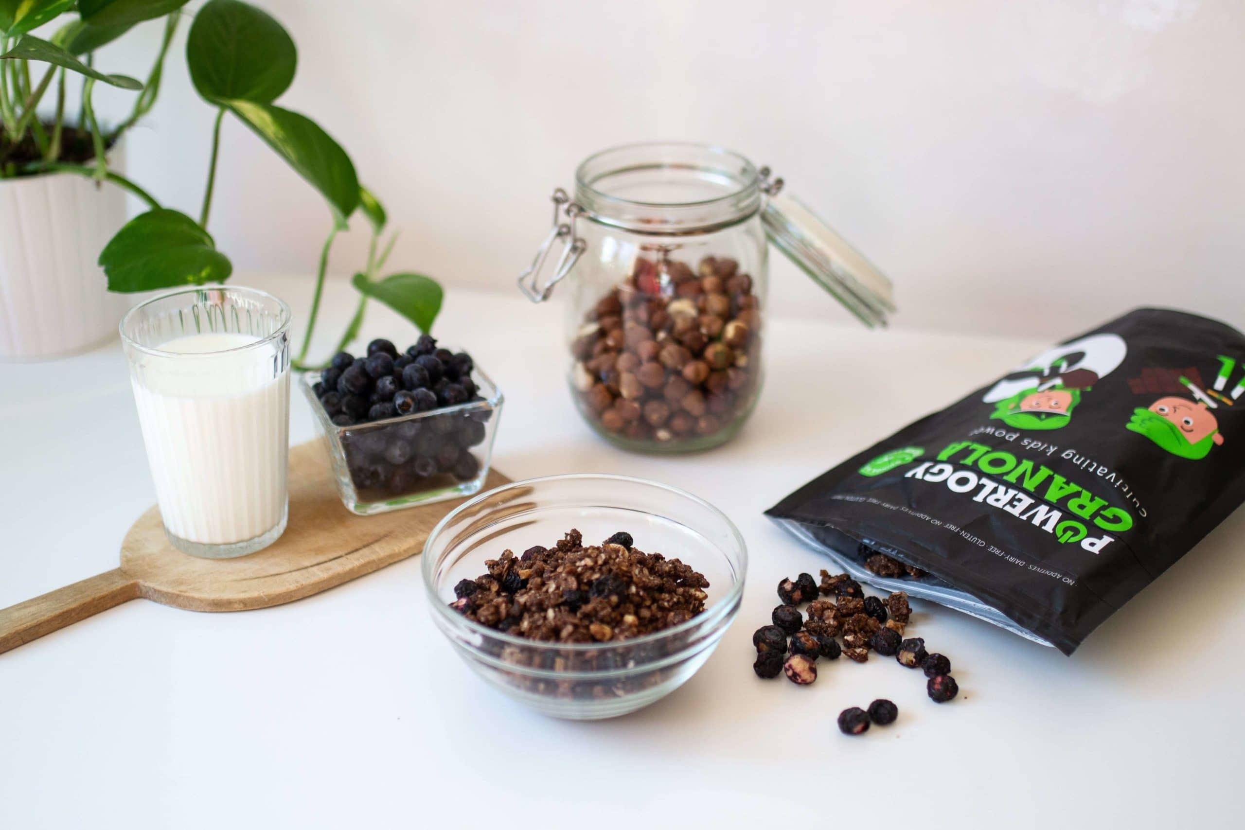 Support your childs brain development with an improved breakfast 