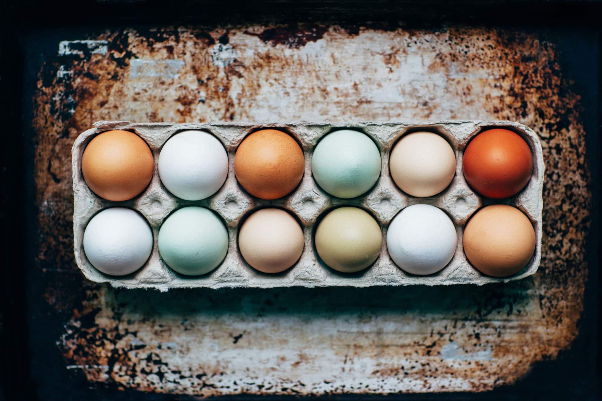 Recommended daily protein intake and its sources
