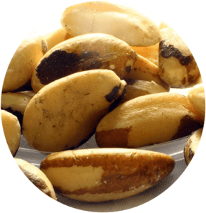 Brazil nuts