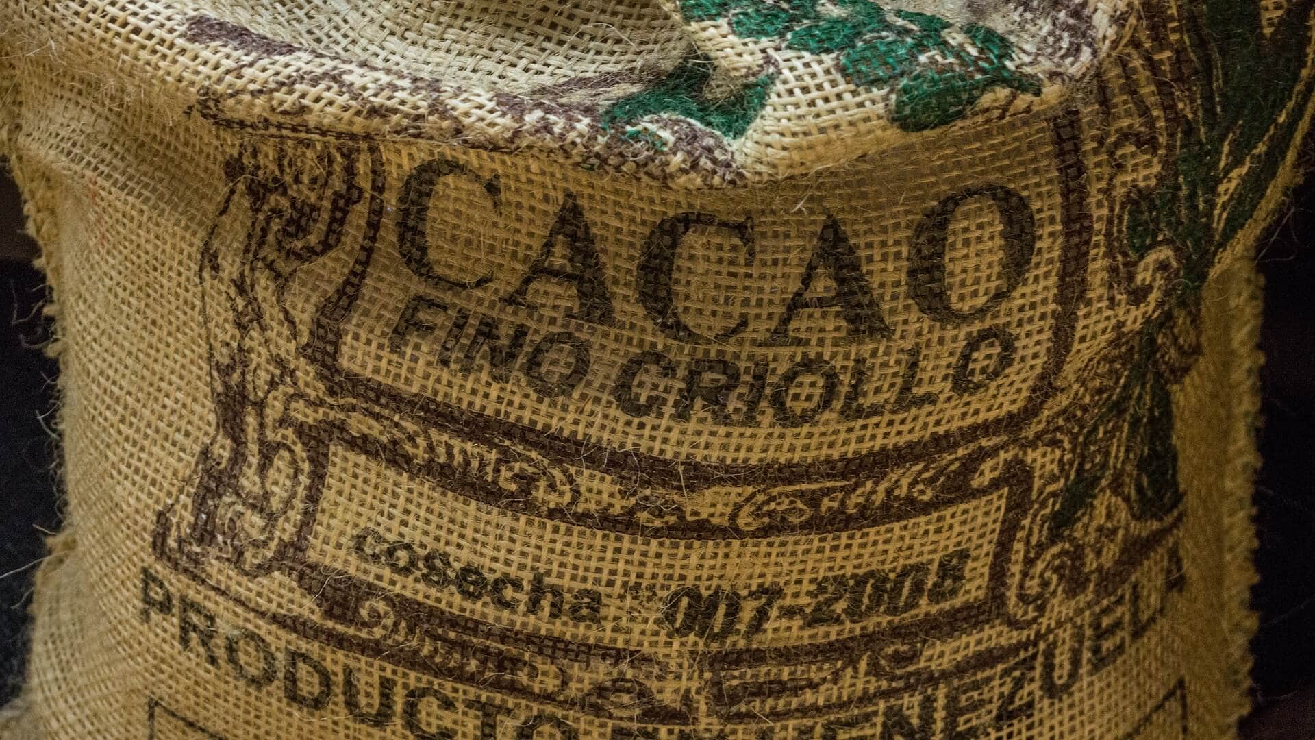 Fino criollo cacao