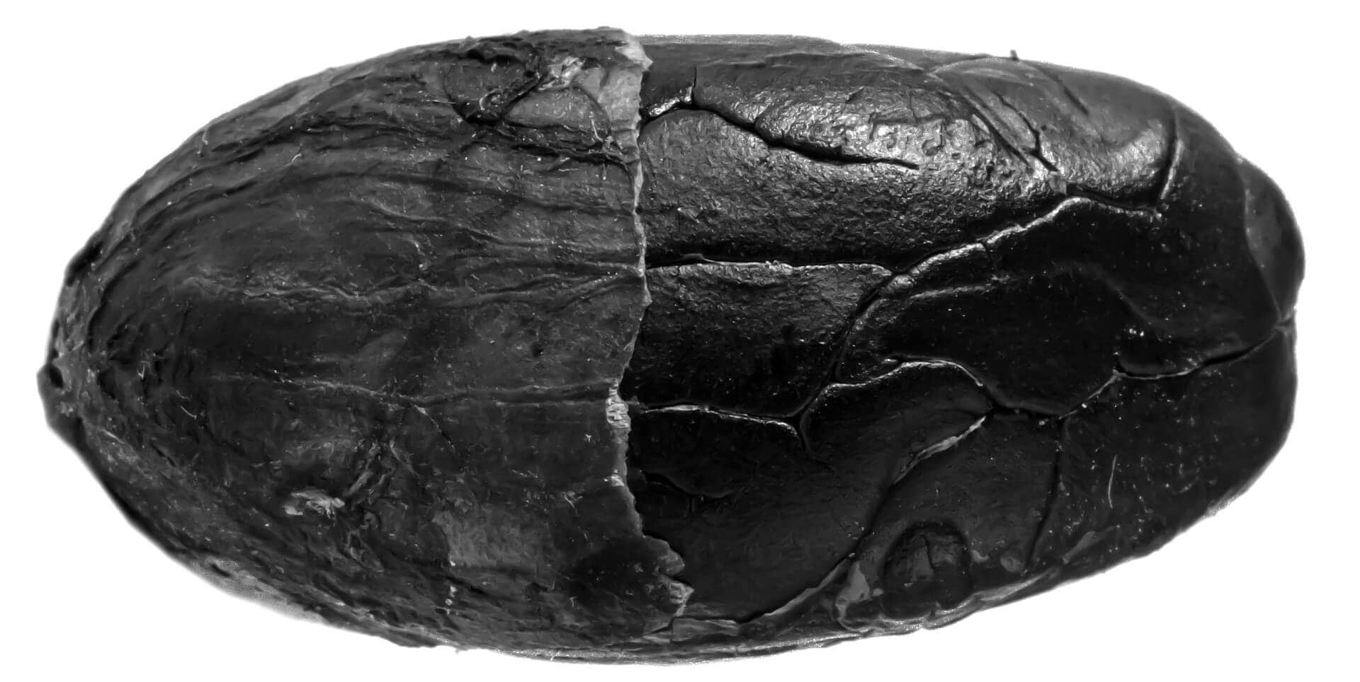 A black over-roasted cacao bean