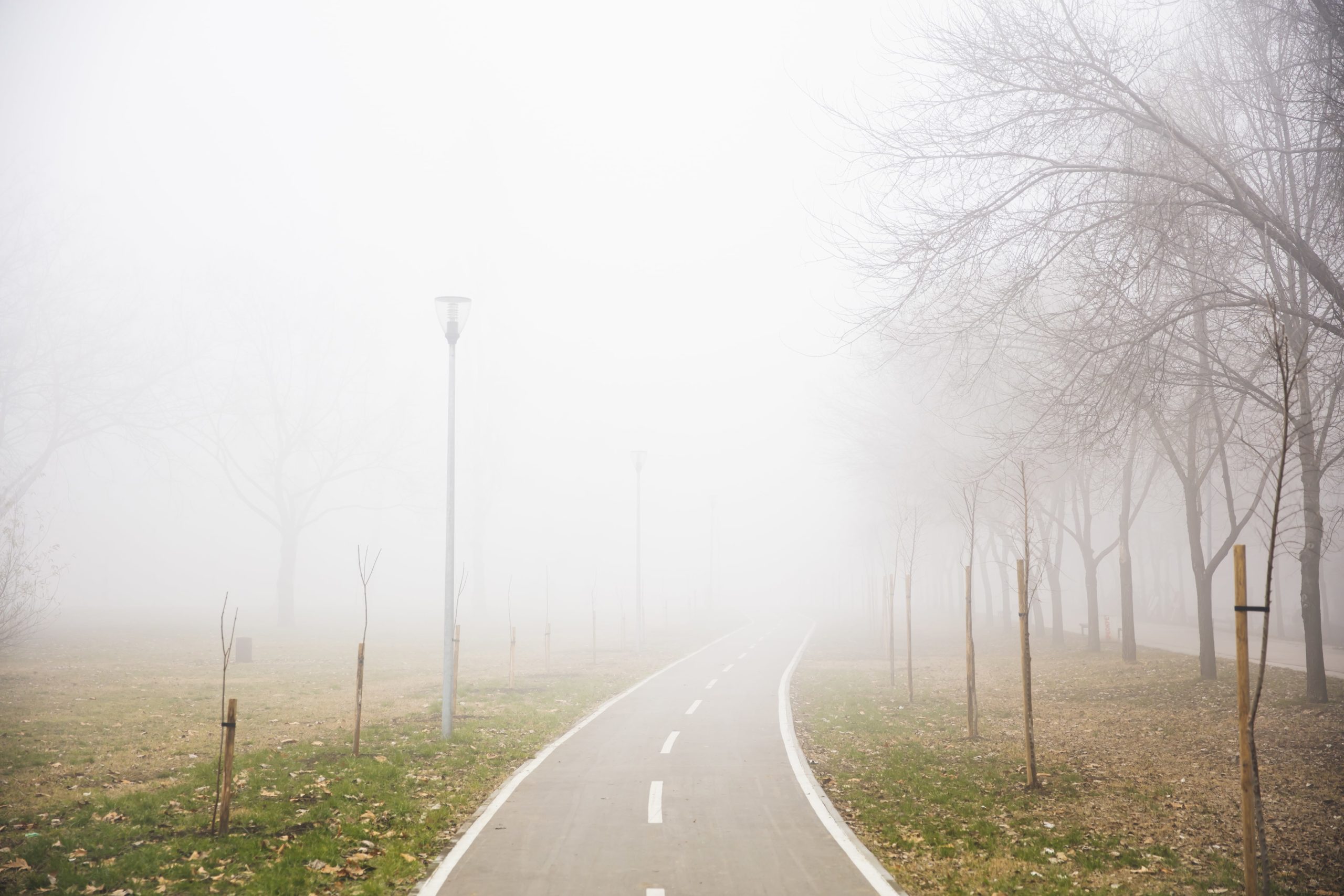 Brain fog: why is it suddenly so hard to concentrate?
