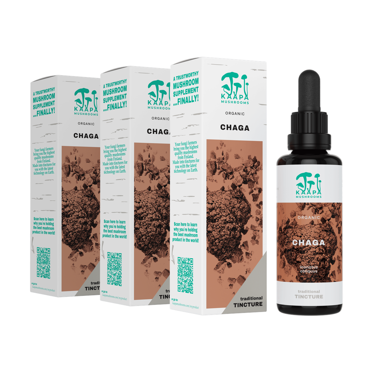 Kaapa Organic Mushrooms Chaga 3 x 50 ml