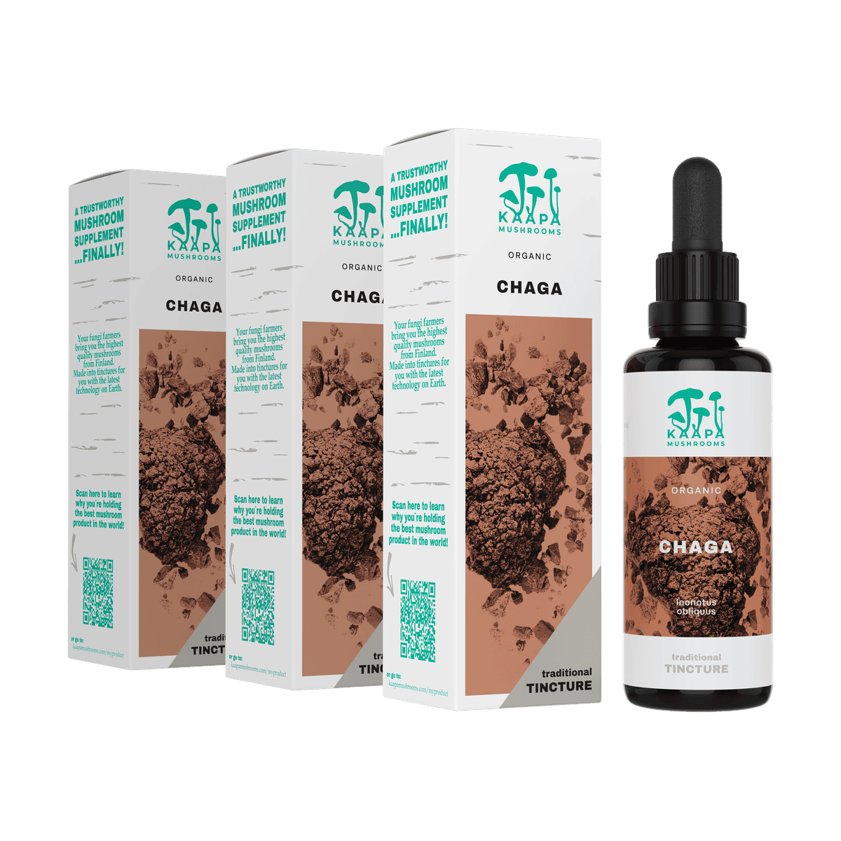 Kaapa Organic Mushrooms Chaga 3 x 50 ml