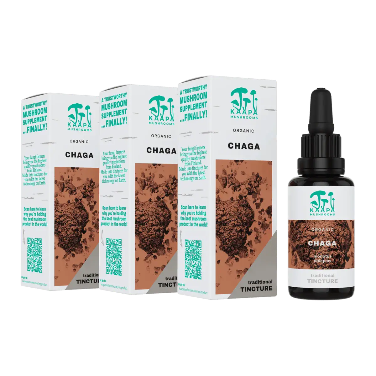 OLD Kaapa Organic Mushrooms Chaga 30 ml 3 x