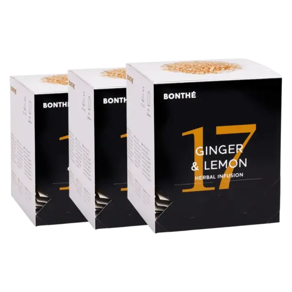 BONTHÉ Ginger & Lemon 16 x 2,5 g