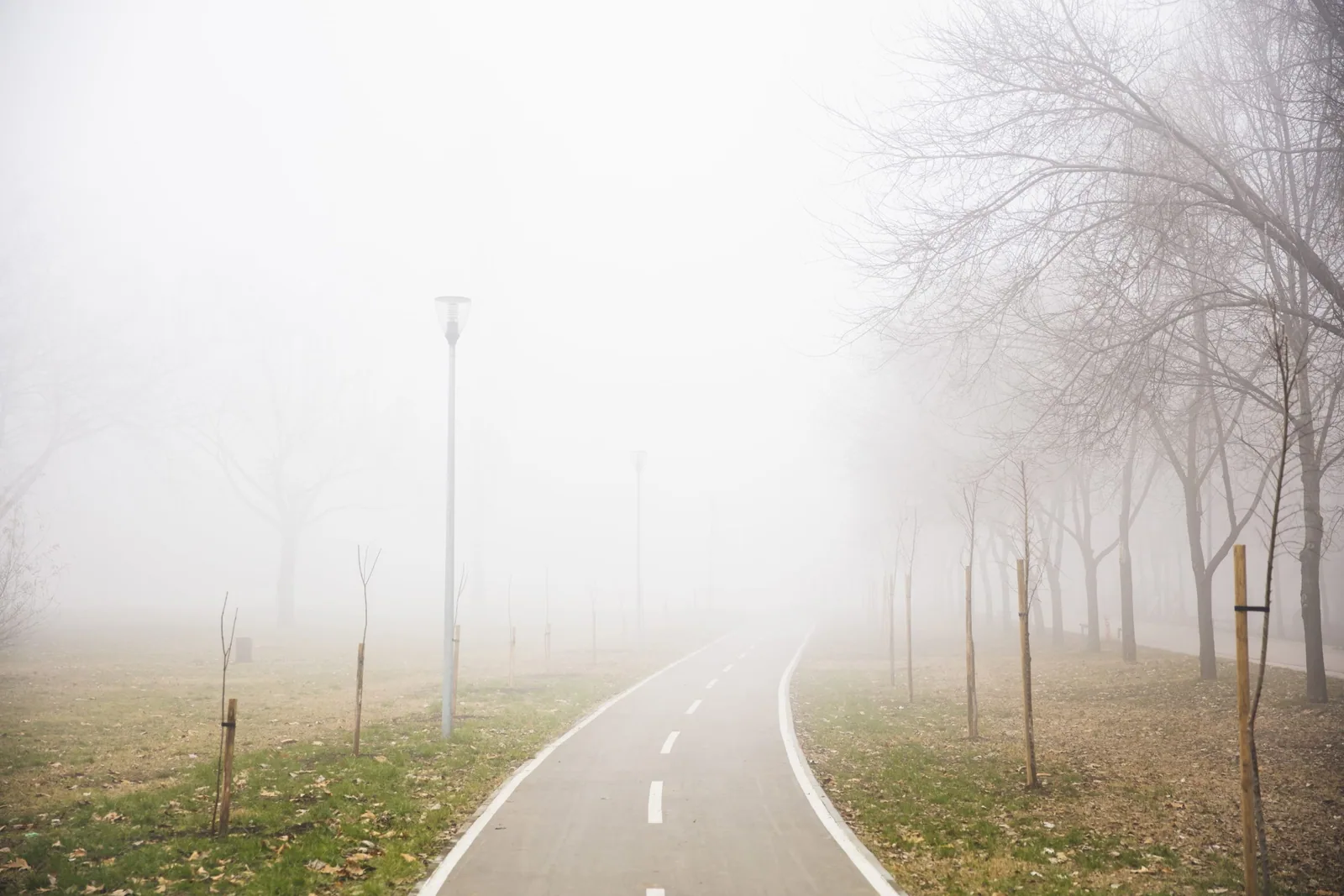 Mozgová hmla (Brain Fog): Prečo sa ti zrazu ťažko sústredí?
