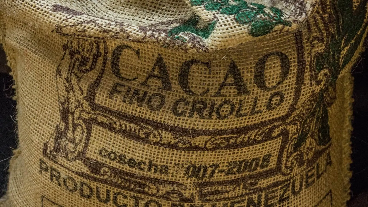 Kakao fino criollo