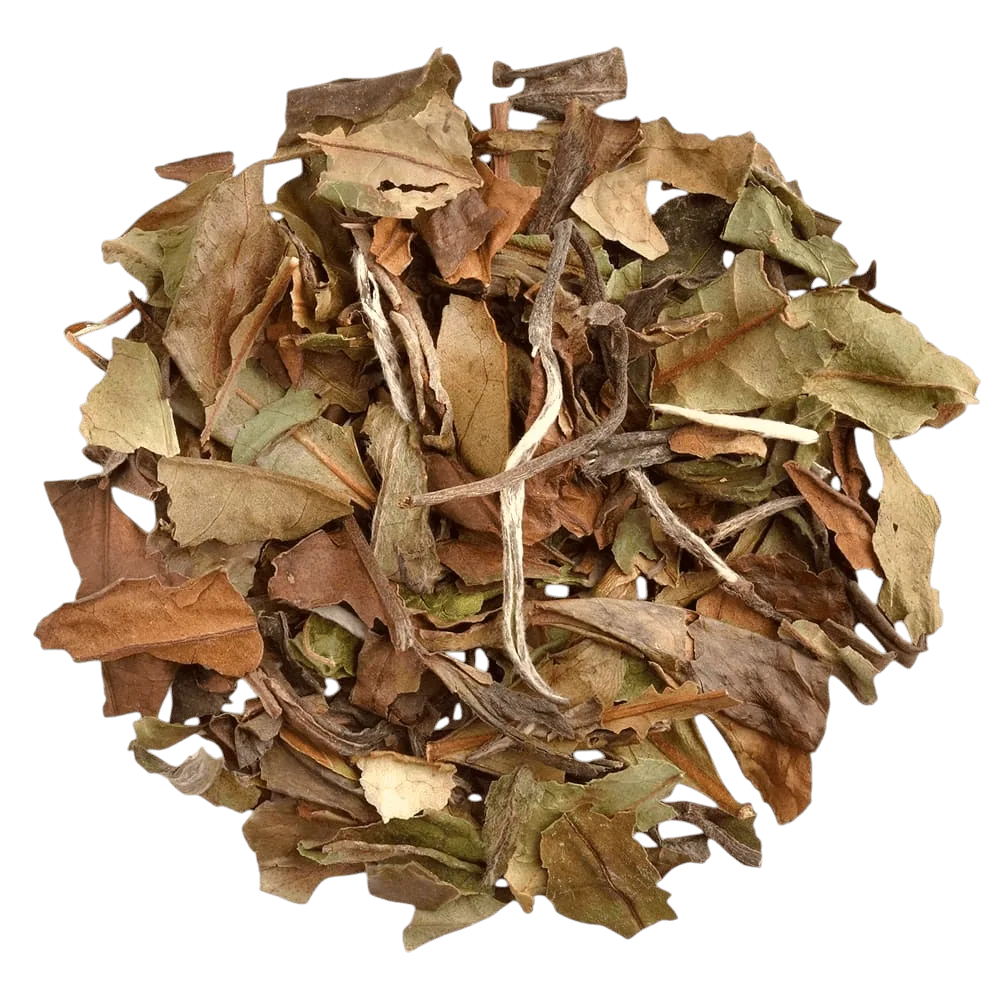 BONTHÉ Pai Mu Tan 16 x 2,5 g