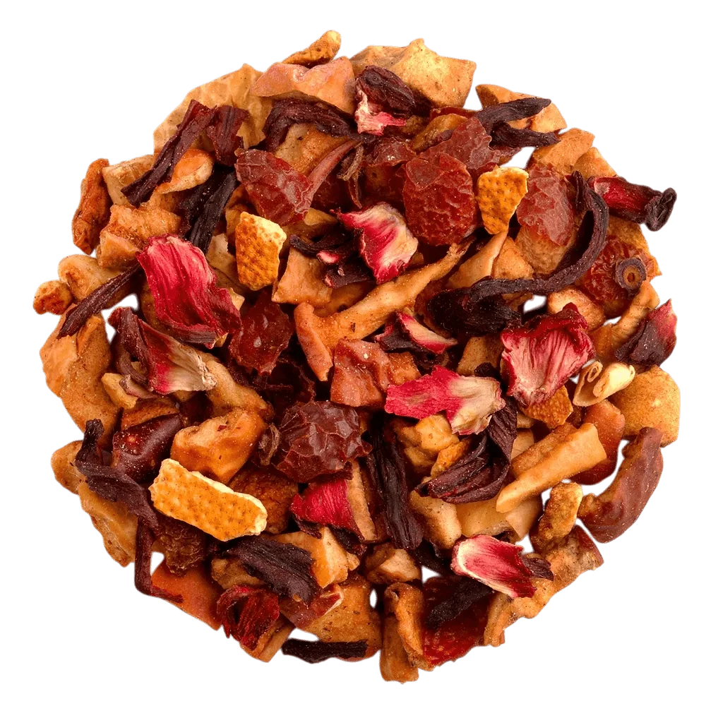 BONTHÉ Cinnamon & Apple 16 x 4 g